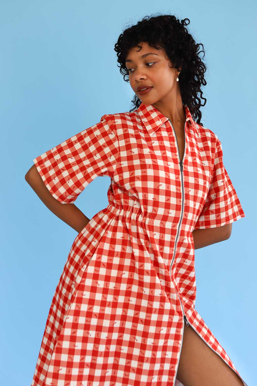 Long Utility Dress